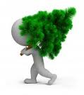 Arbre 2.jpg Arbre 2.jpg